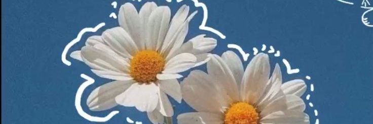 PREETY LITTLE BAHLIL banner