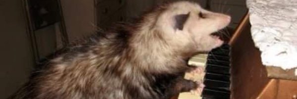 loloha_1004 Profile Banner