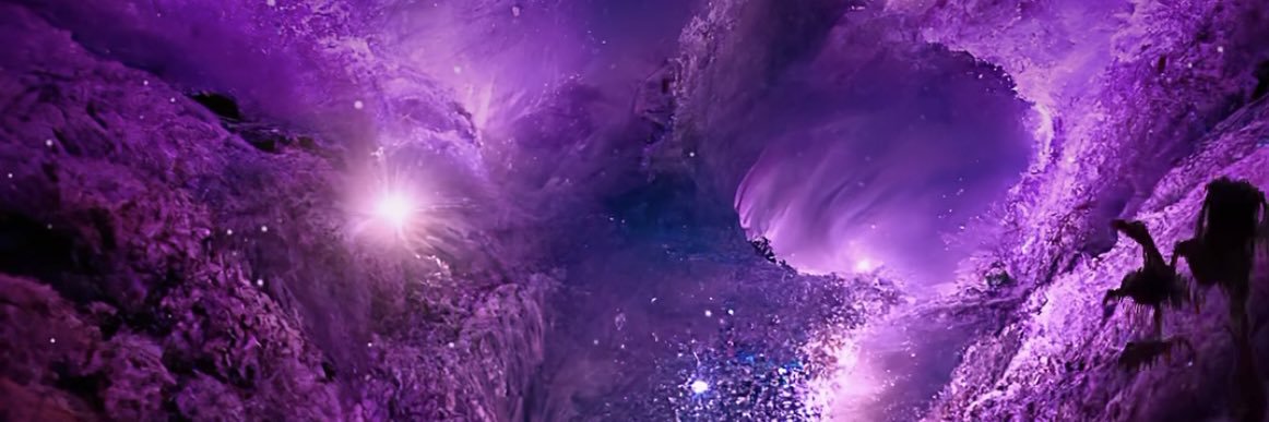 Tonia_DP's profile banner image