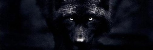 wagnerfs1989's profile banner image