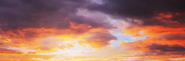 RodMesa Profile Banner