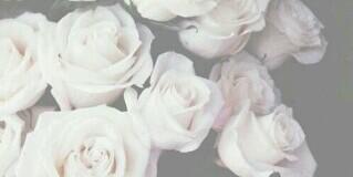 merisemarsh's profile banner image