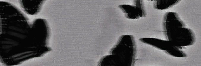 h_49dc's profile banner image
