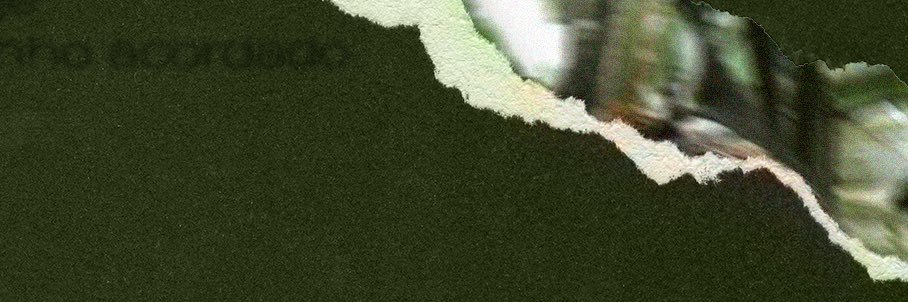 Vinife banner