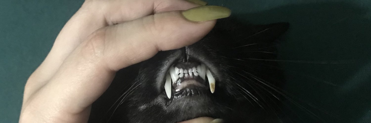 AgostinaRoble's profile banner image