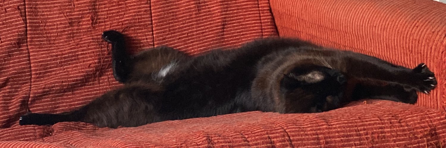 🖤 banner