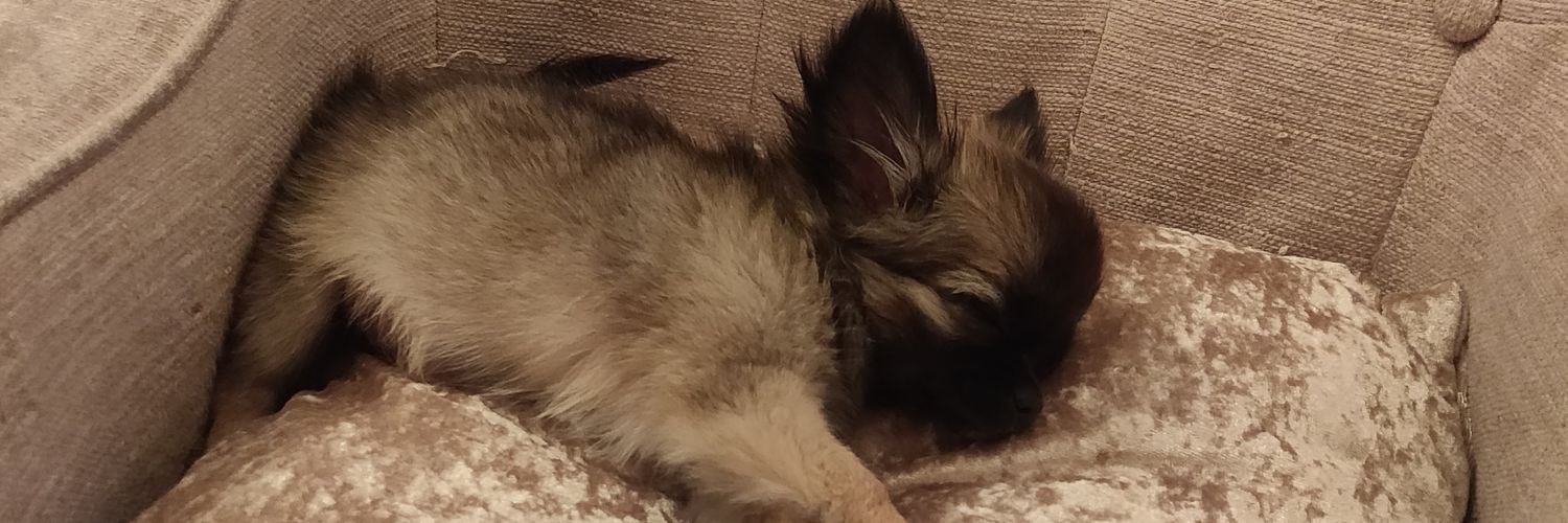 LaurenBrexit's profile banner image