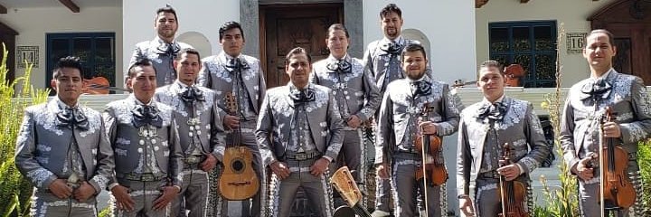 theharp1's profile banner image