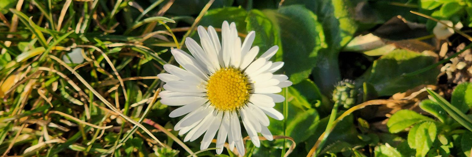 Ametu11's profile banner image