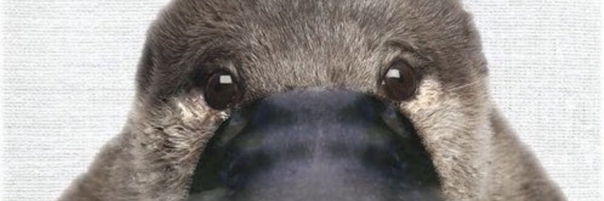 三ノ宮そら【ちすちす】 banner