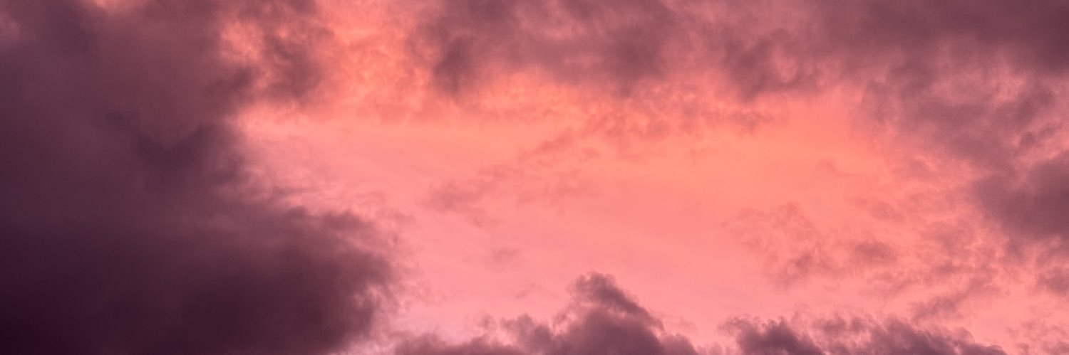 rioriocook's profile banner image