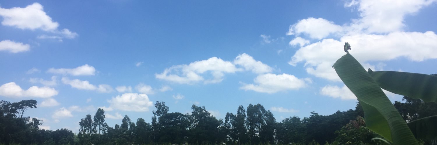 nftstuff_'s profile banner image