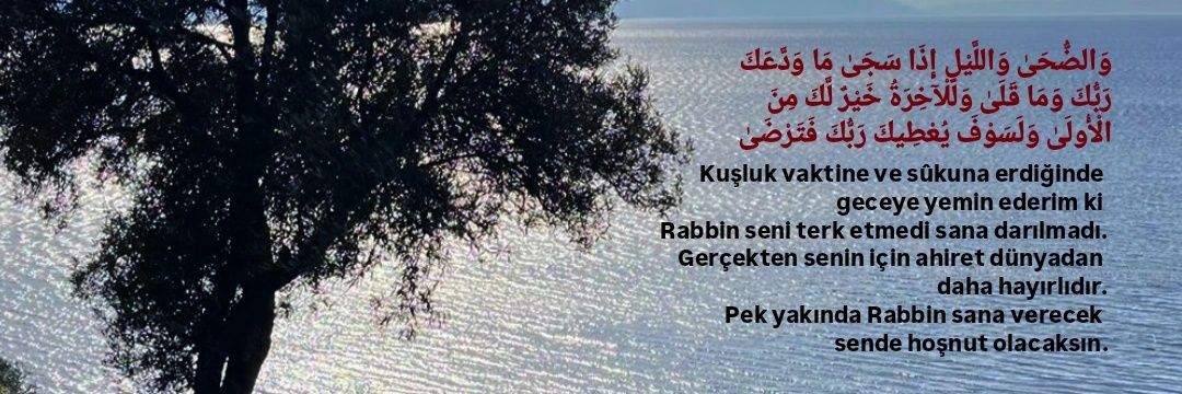 ceylinyoruk_'s profile banner image