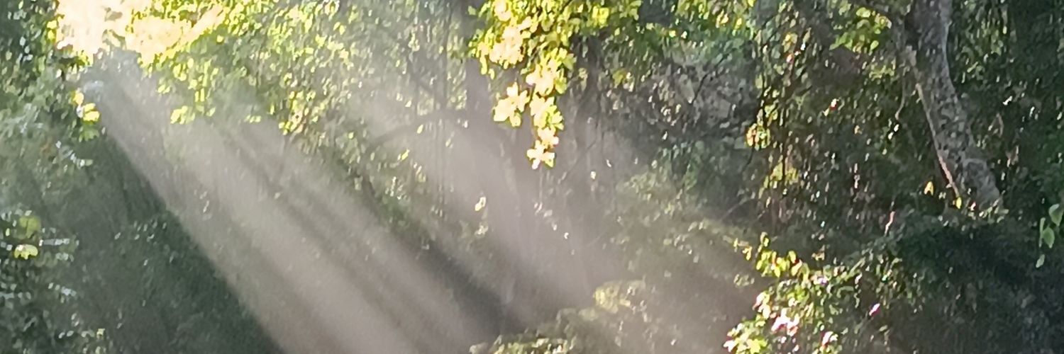_en_serio's profile banner image