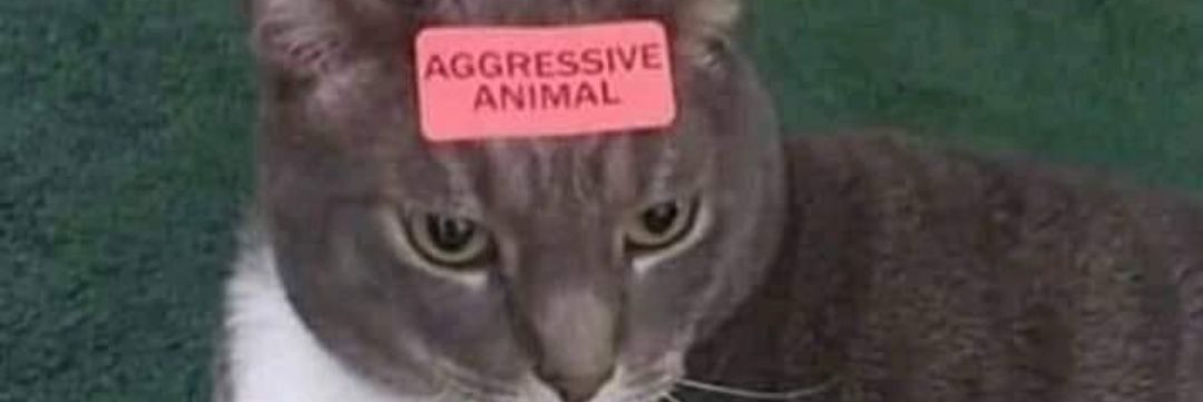 oteualves's profile banner image