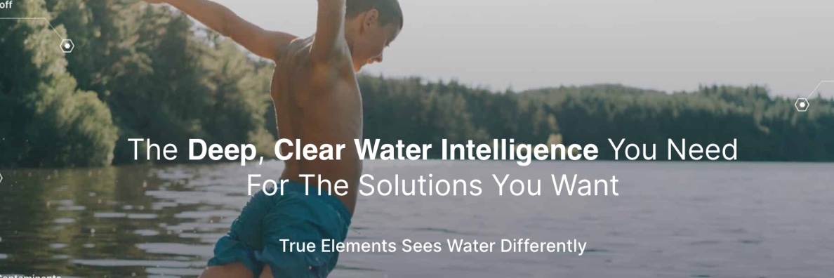 True Elements Insights banner