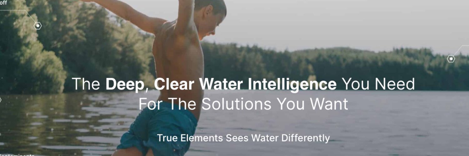 True Elements Insights Profile Banner