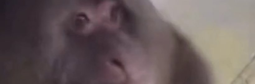 a mina da redação banner