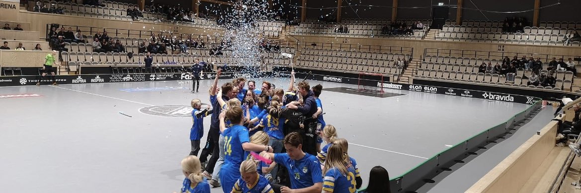 Ludvig Stegius banner