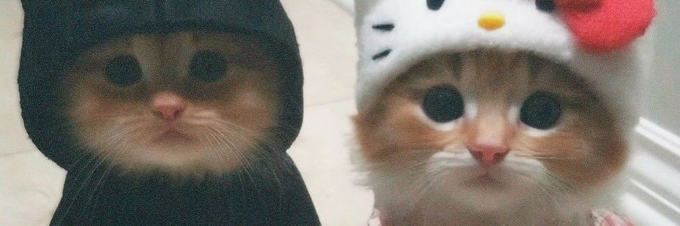 in_ste's profile banner image