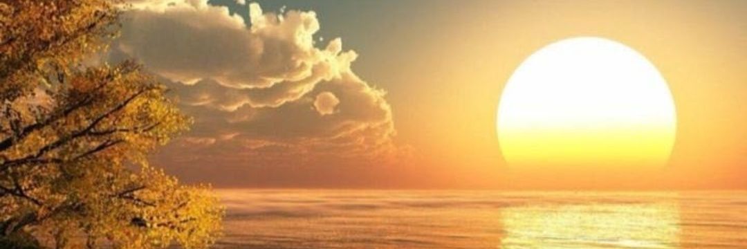 sarah_saml's profile banner image