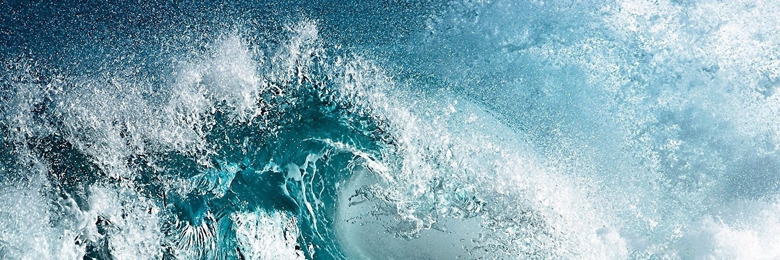 Jorge Mendonça banner