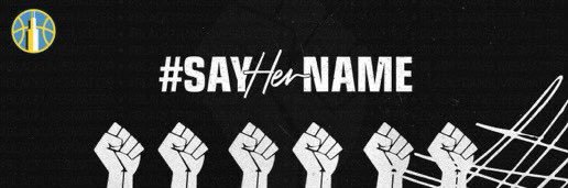 Courtney Vandersloot banner