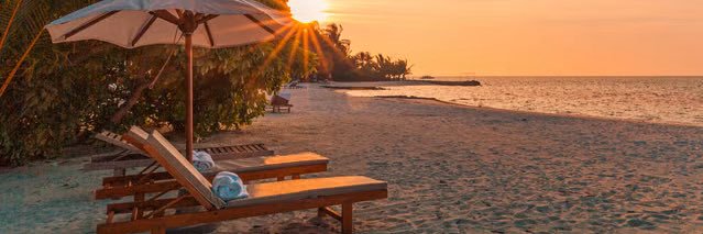 ℒ 👙🌊🏖️☀️ banner