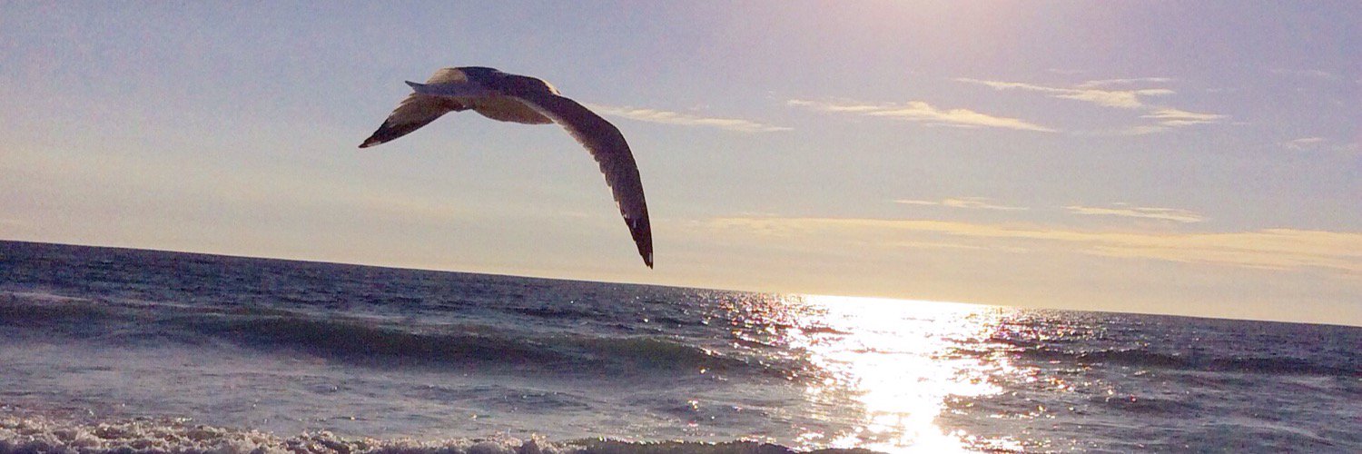 Simplykq's profile banner image