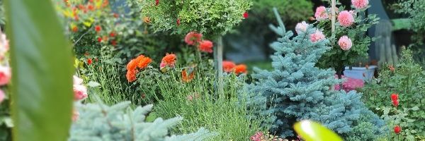 gardendesign13 Profile Banner