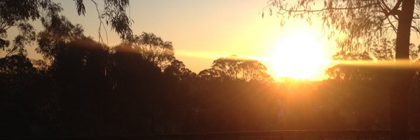 PeeVerbs Profile Banner