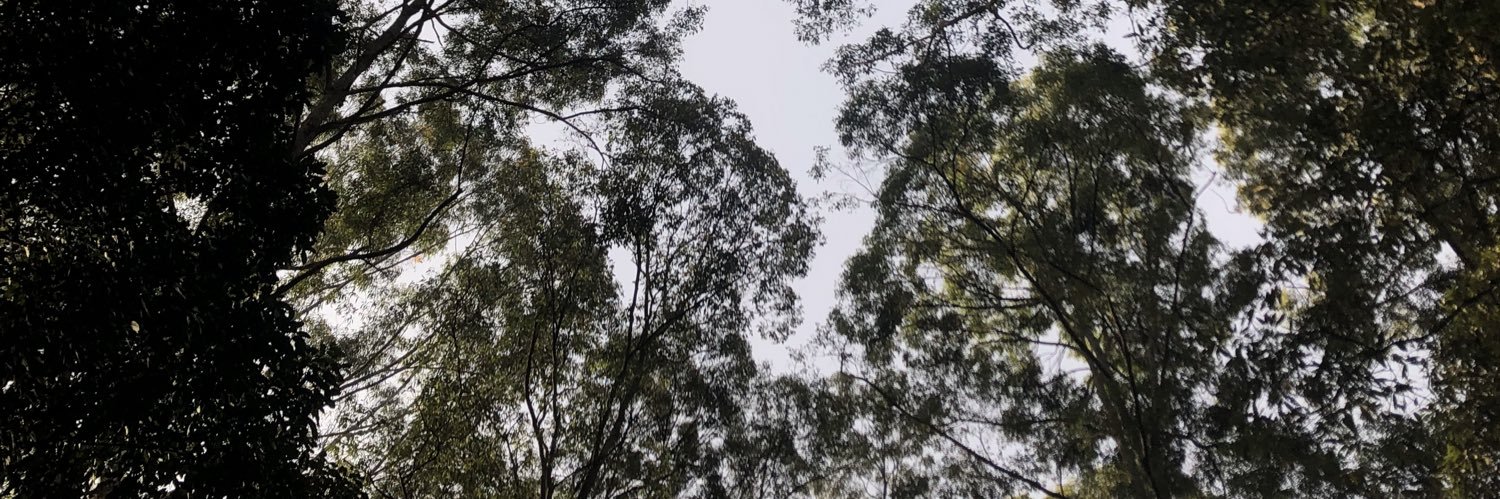 YellowSub0's profile banner image