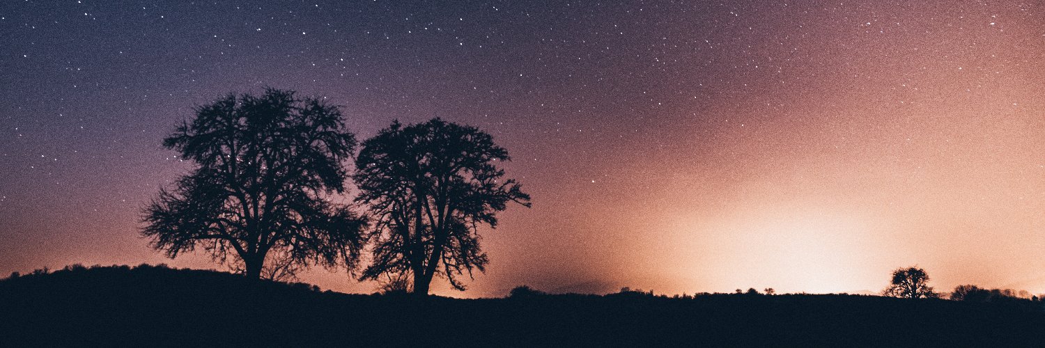 netsplits's profile banner image