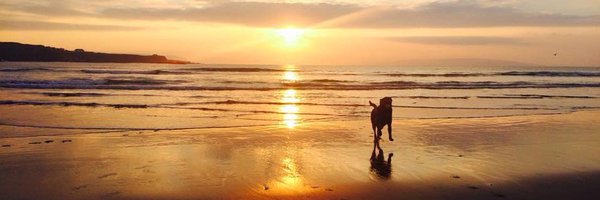 LadyLab17 Profile Banner