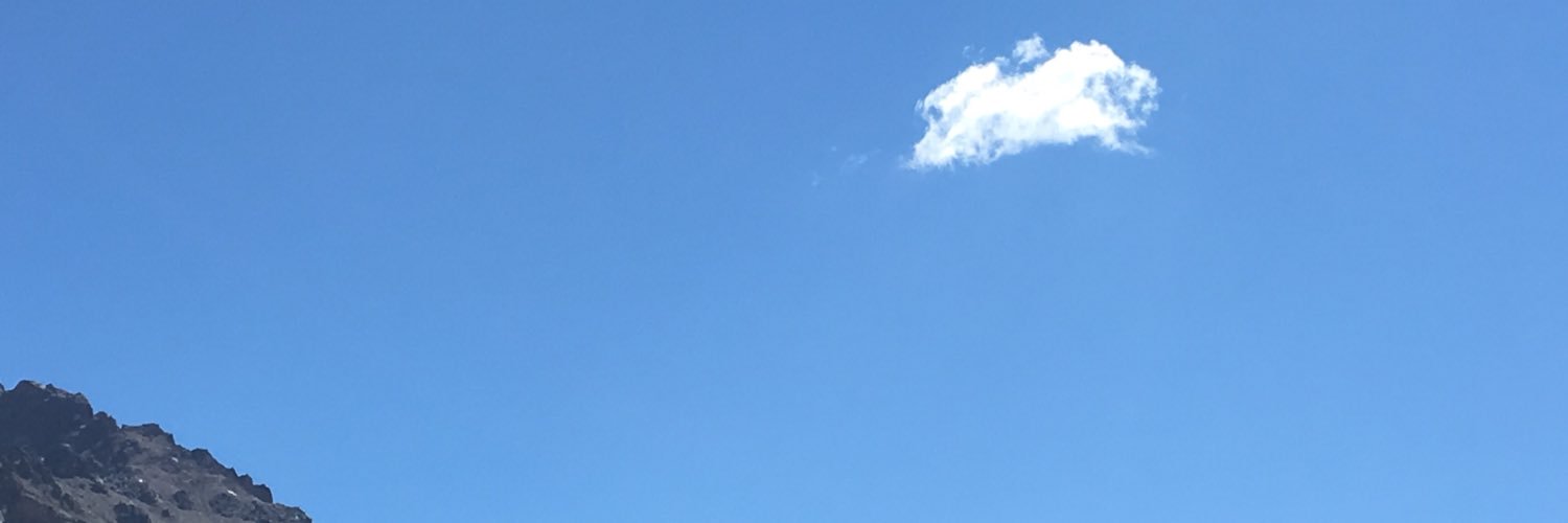 willymcfly69's profile banner image