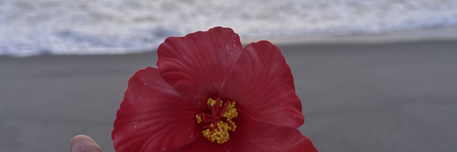 jeannieBisnar's profile banner image