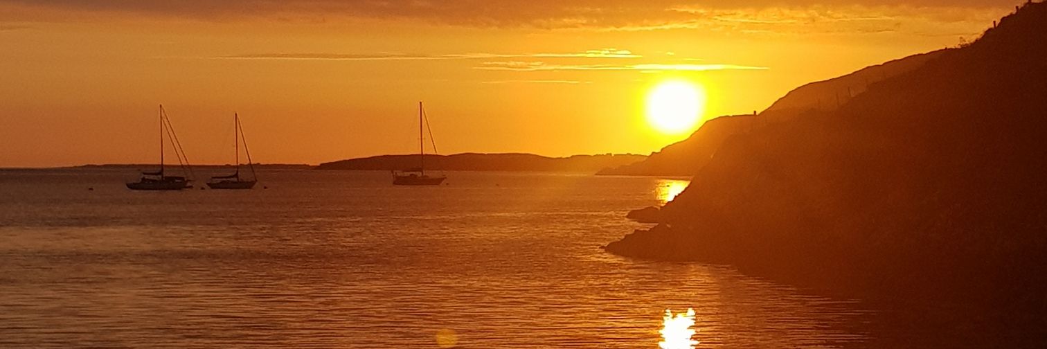 Shauna Diffley banner