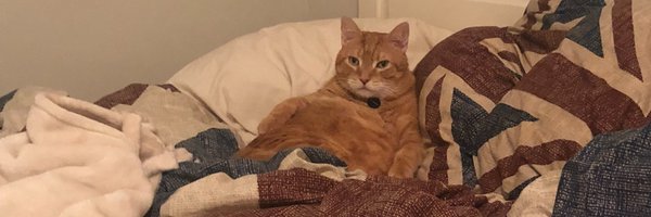 kate_dairy Profile Banner