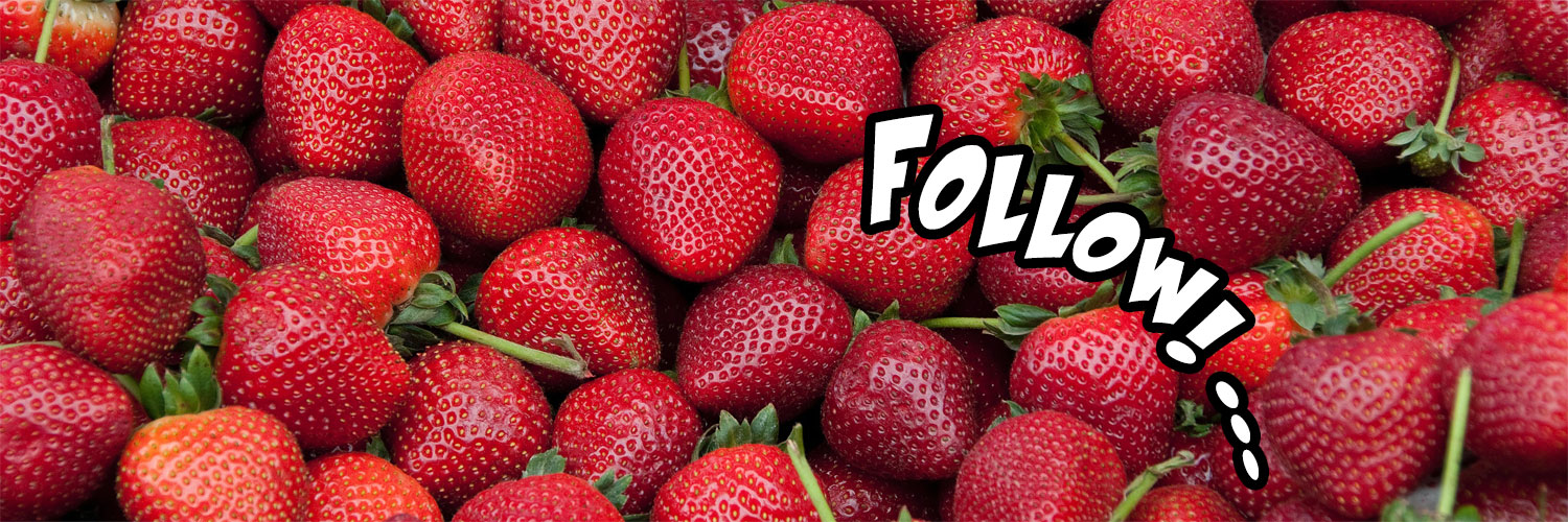 ALL CumSluts of OnlyFans FREE banner