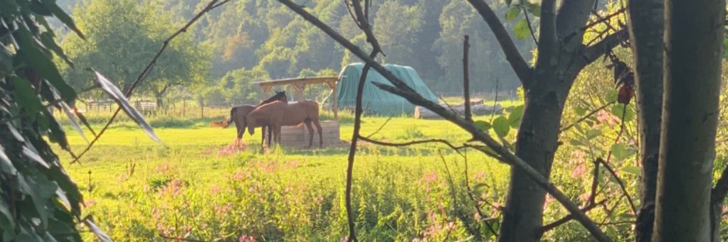 ﮼عبدالله ﮼المري 🇩🇪 banner