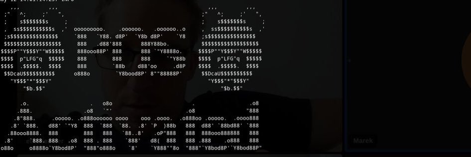 torfinn.eth ⌐◨-◨ banner