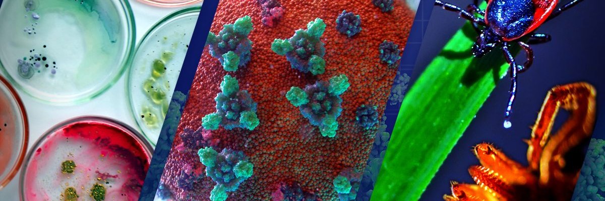 Virginia Tech CeZAP banner