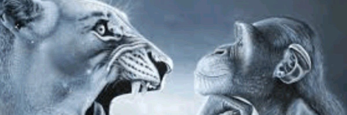 Nanauent banner