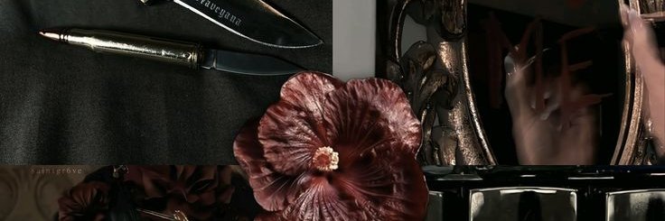 Evankhell_rm's profile banner image