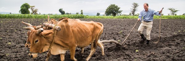 MSuzman Profile Banner