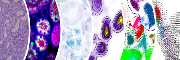 ms_balzer Profile Banner