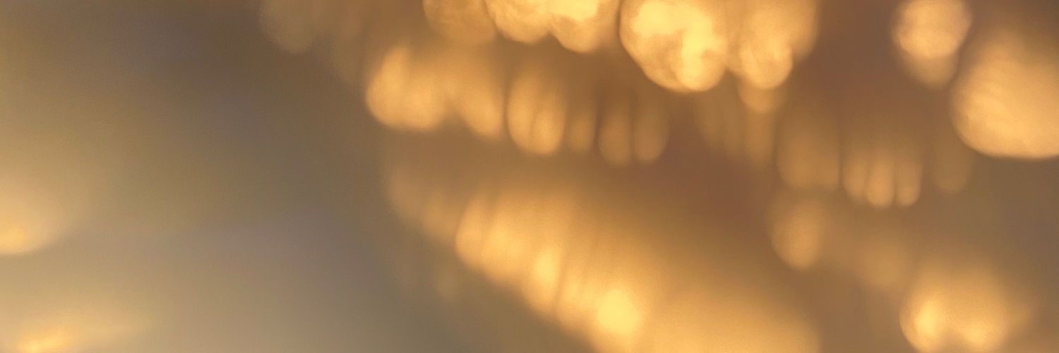 Mitchell Fogelson banner