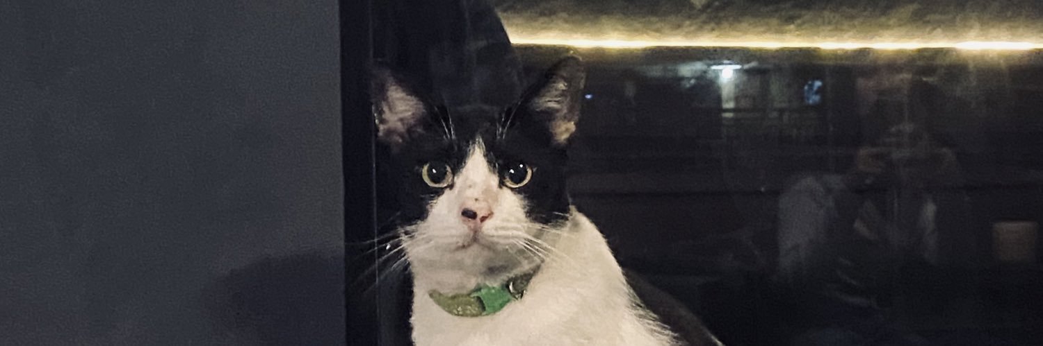 𐙚 ࣪˖ ginaaa ᨦദ ׅ۬ . banner