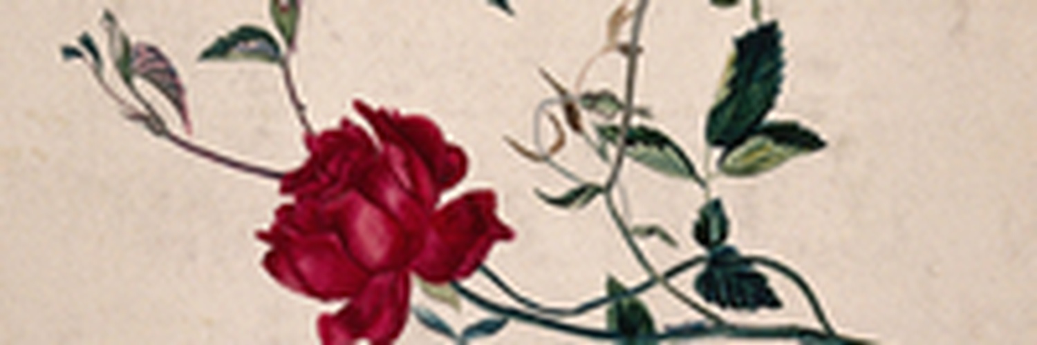 itsaustinreed's profile banner image