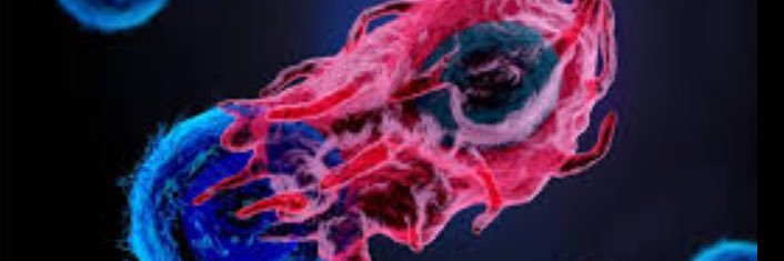 JosephTintelnot's profile banner image